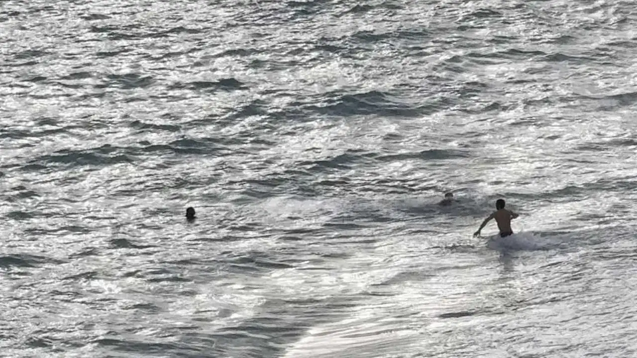 Antalya’da Yardım Çığlıkları Sahili Ayağa Kaldırdı 4